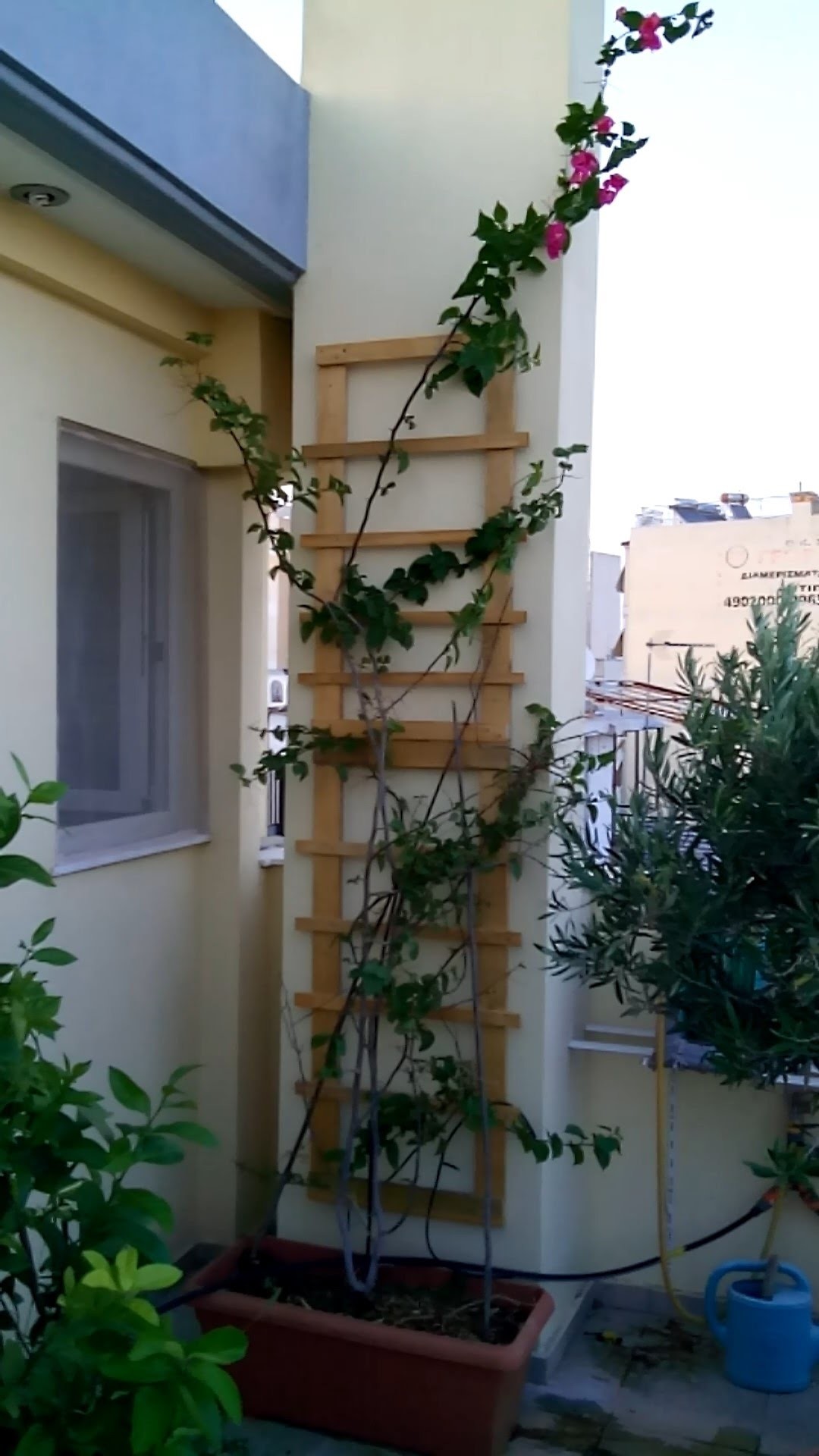 How to put up a wall trellis â