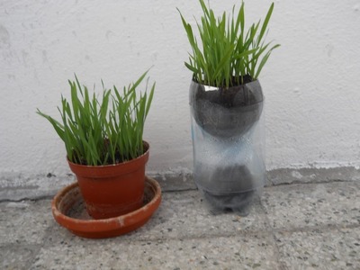 Self watering pot - DIY