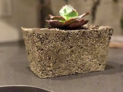 Light-weight concrete planters - Garden DIY
