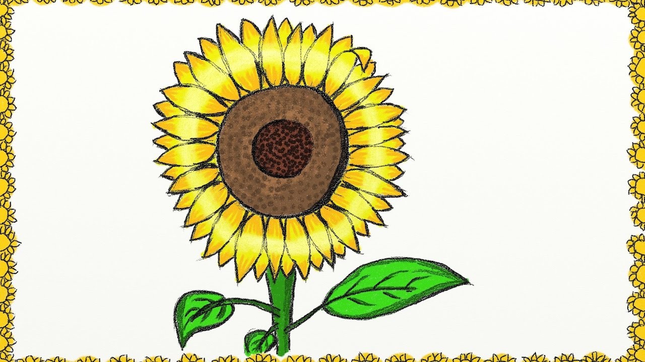 Drawing a simple sunflower | How to draw a sunflower | Drawing for kids