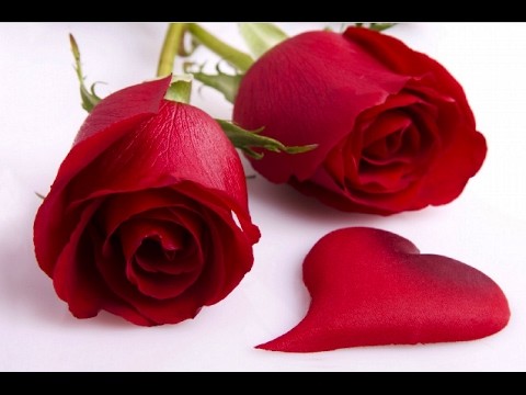 Happy Valentines day 2017 || Valentines Day Special || How to make Valentiesday