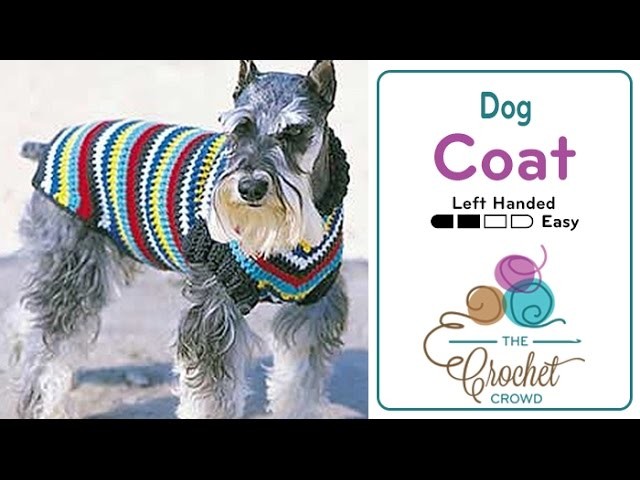 How to Crochet A Dog Coat