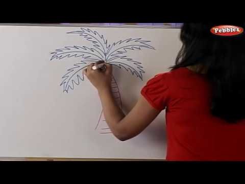 How to Draw Coconut Tree in Malayalam. Banana Tree. Sunflower and Hibiscus Flowers