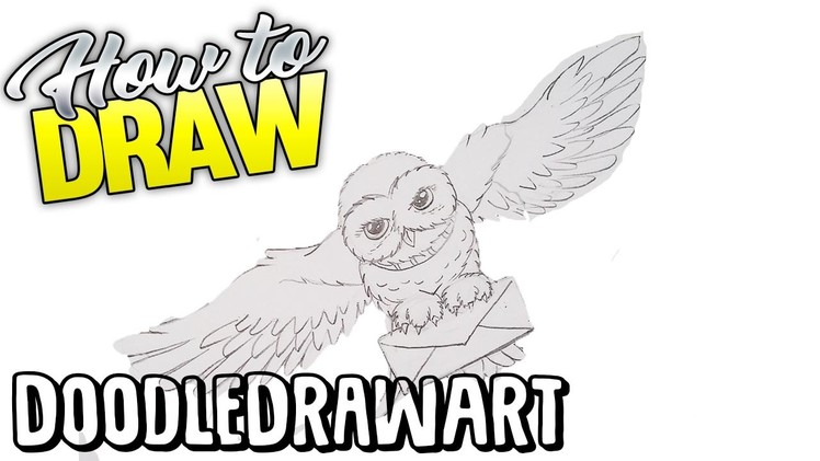 How to Draw Hedwig Step by Step Drawing Tutorial