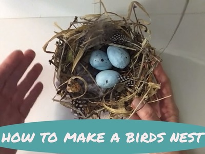 How to make a bird's nest: MIMI'S SKETCHBOOK