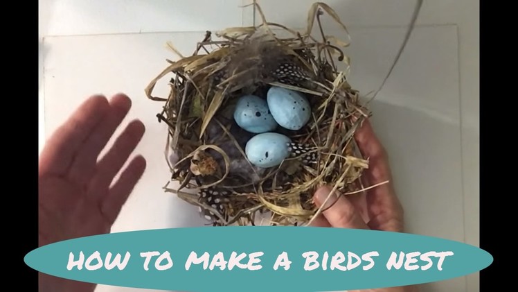 How to make a bird's nest: MIMI'S SKETCHBOOK