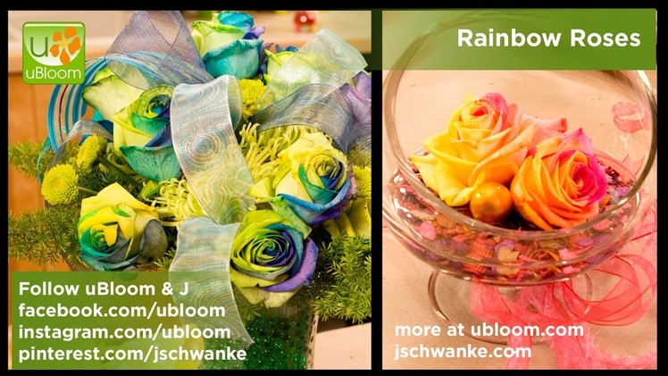 How to Make Arrangements with Rainbow Roses!