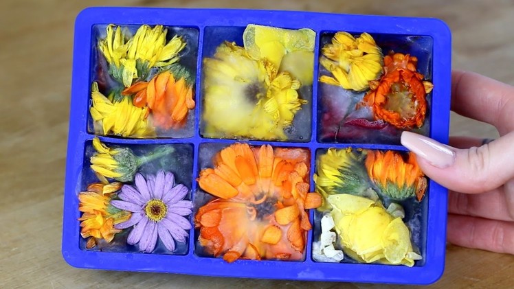 How to make edible flower ice cubes (tutorial)