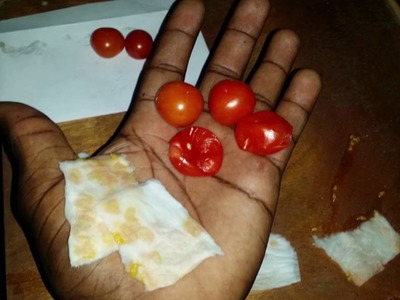 How To Save Cherry Tomato Seeds || Agrosuede ✔