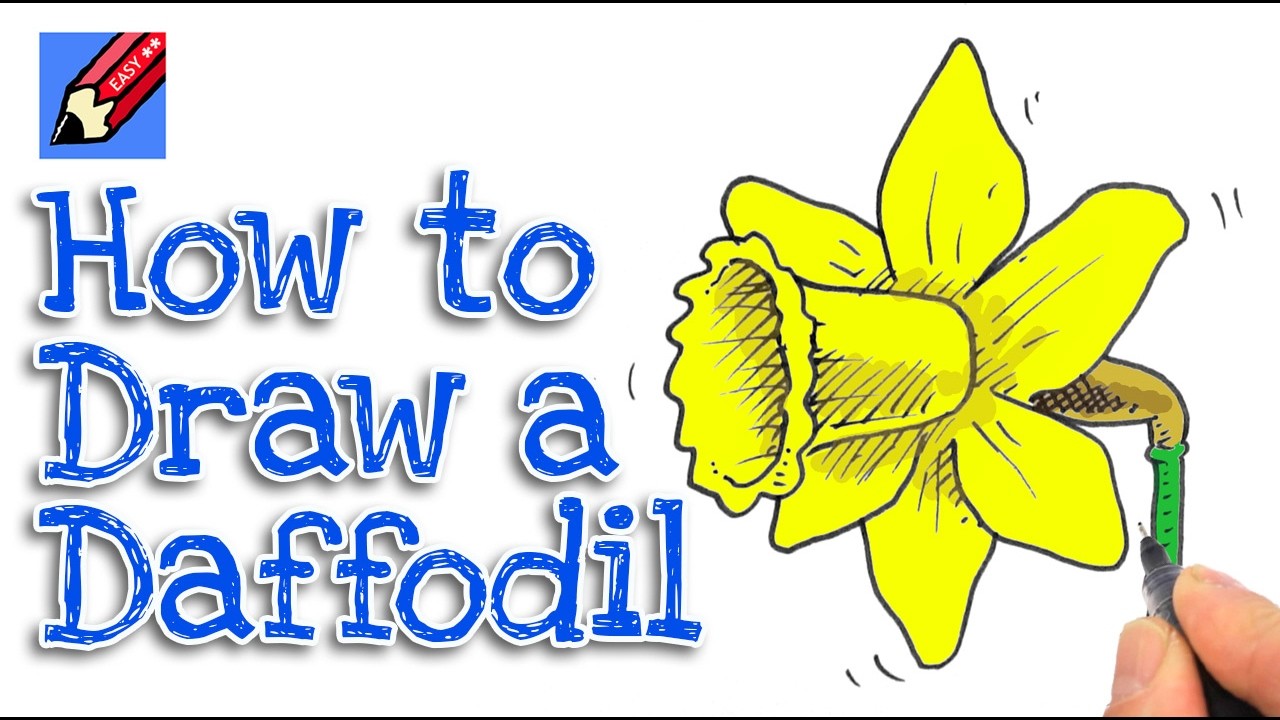 Learn how to draw a Daffodil Real Easy for kids and beginners - St David's Day