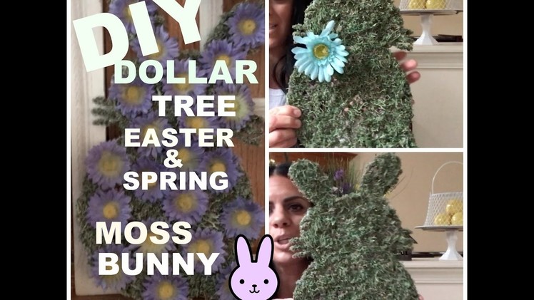 DIY DOLLAR TREE -Easter Bunny Moss Plaque-EZ Do-It-Yourself