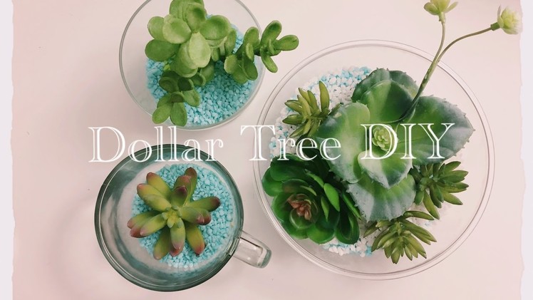 DIY Dollar Tree Succulents Terrariums  - Simple & Easy Only $11