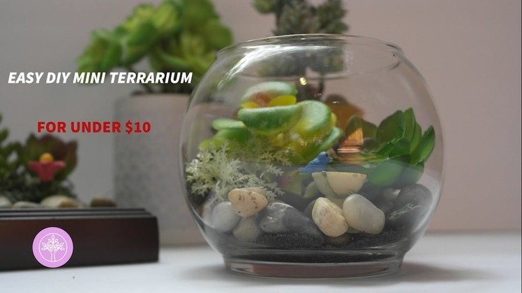 DIY Mini Faux Terrarium for Under $10!