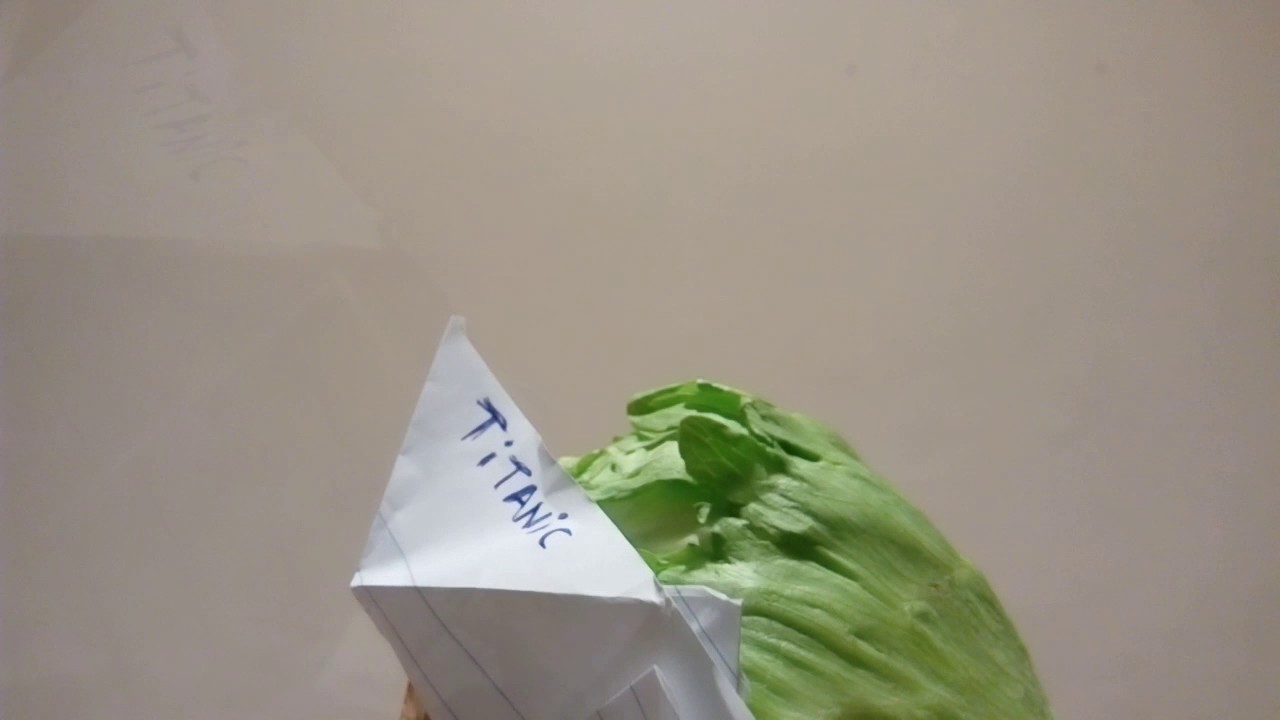 Paper titanic vs Iceberg (salad)