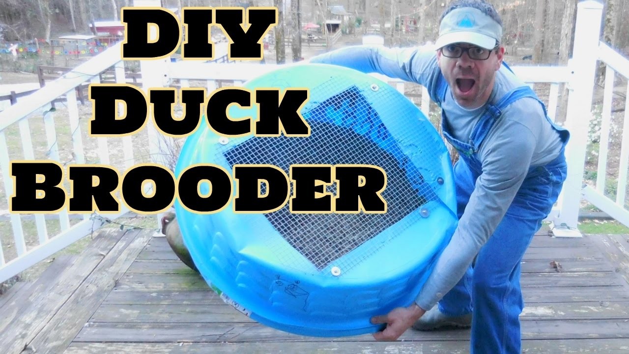 The BEST DIY Duck Brooder We Ever Made!, How To Make a Duck Brooder or Chick Brooder