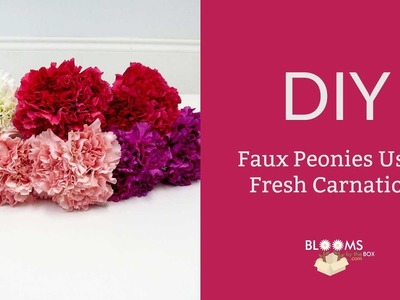DIY Faux Peonies Using Fresh Carnations