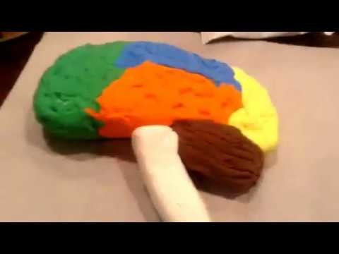 Making a 3D Brain Model Project
