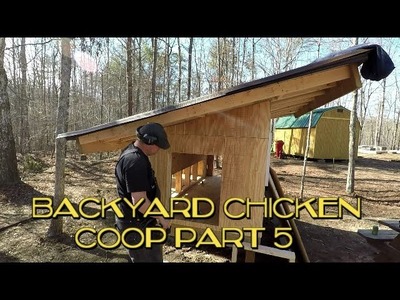 Diy Chicken Coop Build, Part 5