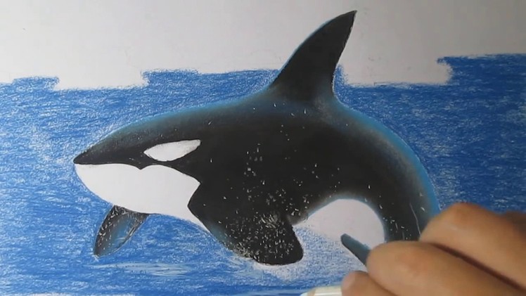 How to Draw a Killer Whale Easy with Charcoal and Pastels Step by Step