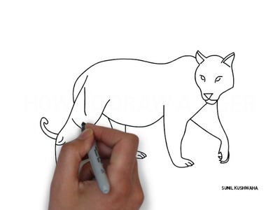 Learn How to Draw a Tiger Very Easy for Kids