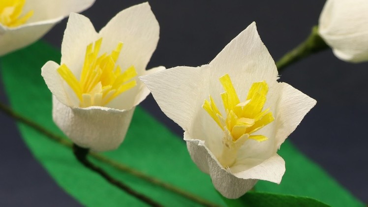 Paper Flowers Craft - Duplex Crepe Paper Flower (Very Easy)