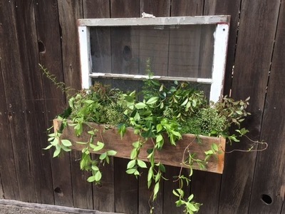 Diy Vintage window planter box. Easy and fun build. You can do it too.