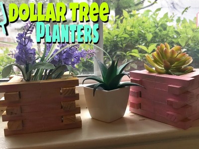 Dollar Tree DIY Planters