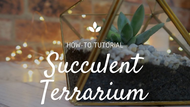 How To Make A Succulent Terrarium | DIY Tutorial