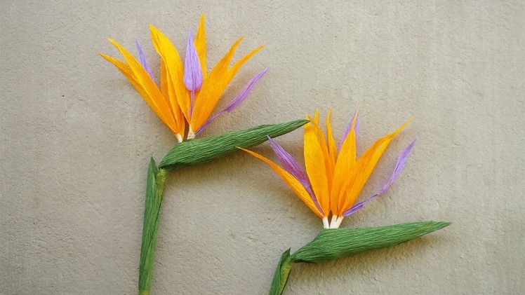 ABC TV | How To Make Bird Of Paradise Paper Flower From Crepe Paper - Craft Tutorial