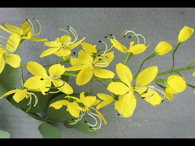 ABC TV | How To Make Cassia Fistula Paper Flowers From Crepe Paper - Craft Tutorial
