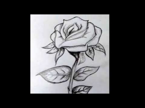 Copy of How To Draw A RosE. Step By Step Tutorial. Flower Drawing Tutorial