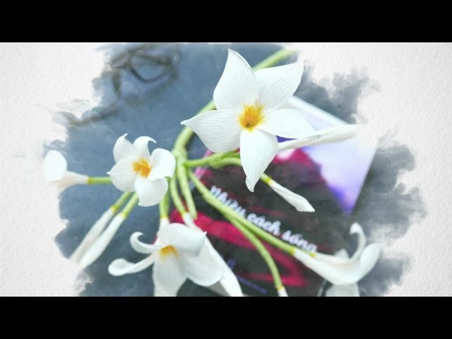 DIY - Craft tutorial - How to make paper flower - Fragipane  -  by crepe paper - hoa sứ giấy nhún