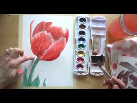 How to draw and paint a Tulip with watercolors BEGINNER TUTORIAL
