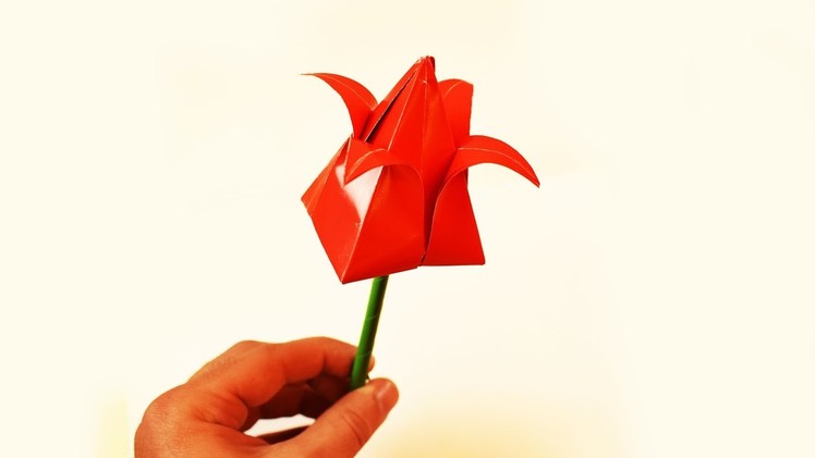How to make a paper Tulip?