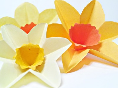Daffodils Narcissus paper flower for wall decoration arts and crafts paper flowers easy for kids