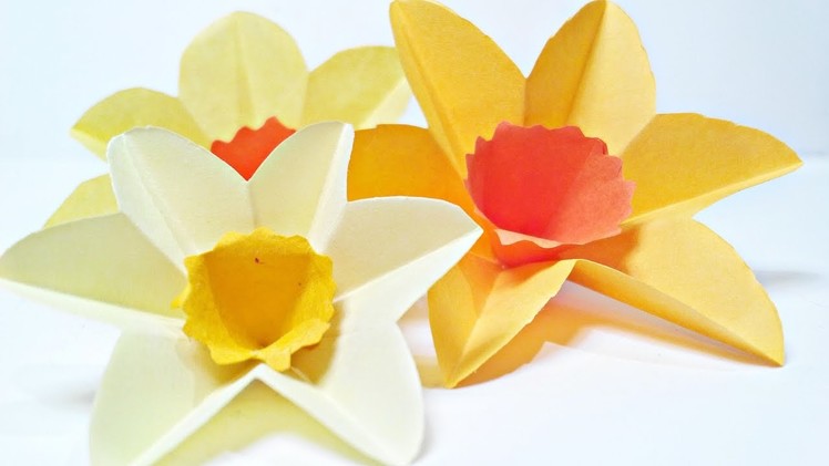 Daffodils Narcissus paper flower for wall decoration arts and crafts paper flowers easy for kids