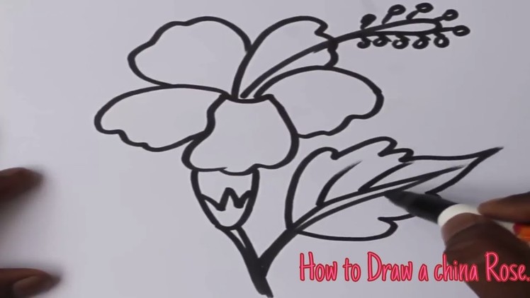 How to draw a China Rose : Art For kids.