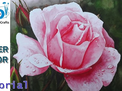 How to paint a rose in watercolor with water drops full details beginners tutorial by Nihar Debnath
