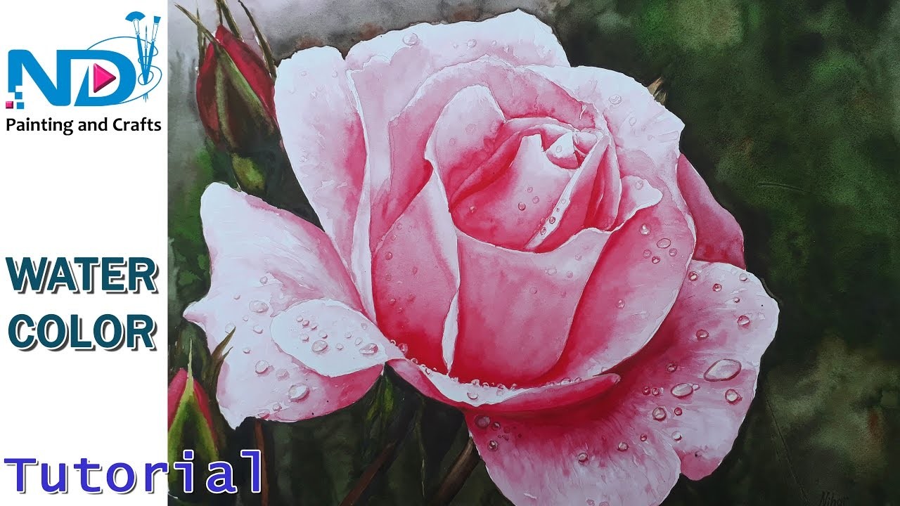 How to paint a rose in watercolor with water drops full details