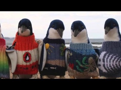 Australia's Oldest Man Famous For His Penguin Sweaters Passes Away