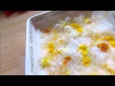 Cont. Rinsing and dyeing fleece with food colouring - Beginners Guide