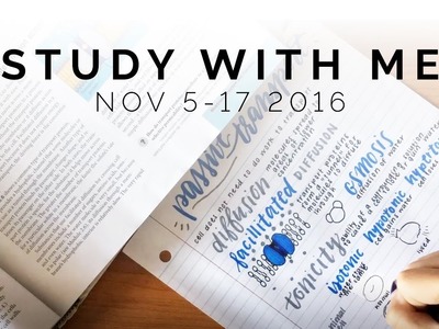 Study With Me: November 5 to 17, 2016