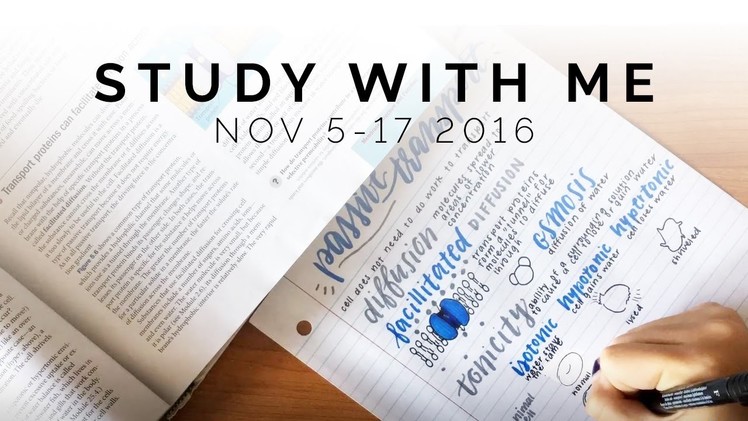 Study With Me: November 5 to 17, 2016