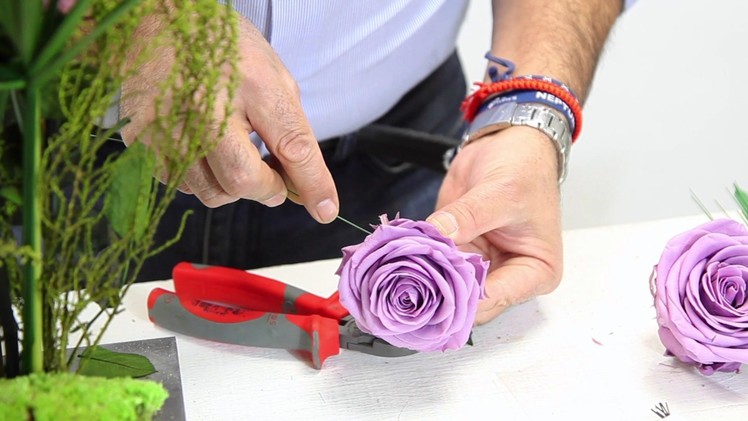 DIY: Project with Preserved Flowers and Plants - Proyecto con flores y plantas preservadas