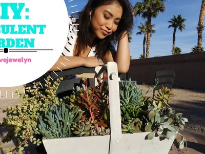 DIY: Succulent Garden