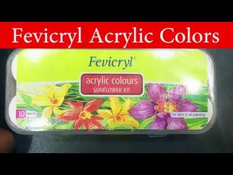 Fevicryl Acrylic Paint | Art And craft Painting