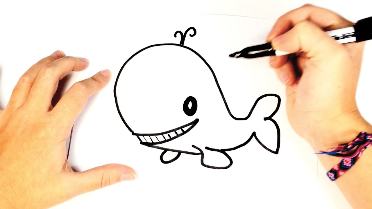 How to draw a Whale for Kids, Easy Whale drawing tutorial