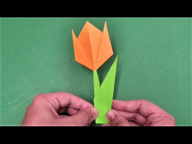 How to make simple & easy paper tulip flower | DIY Paper Craft Ideas, Videos & Tutorials.