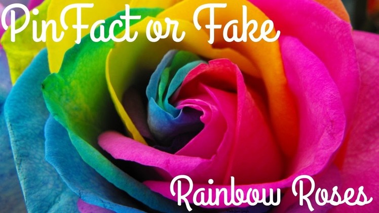 PinFact or Fake! Rainbow Roses