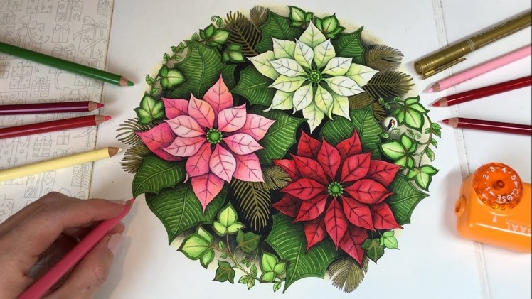 Poinsettias | Johanna's Christmas Coloring Book